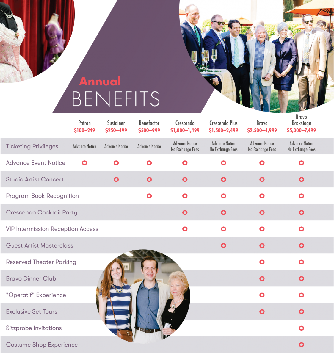 AZO Benefits Chart